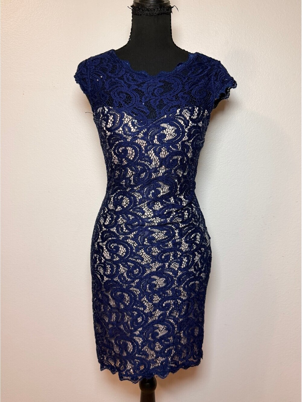 Sequin Hearts Navy Lace Dress 5 Cap Sleeve Sheath Sequin